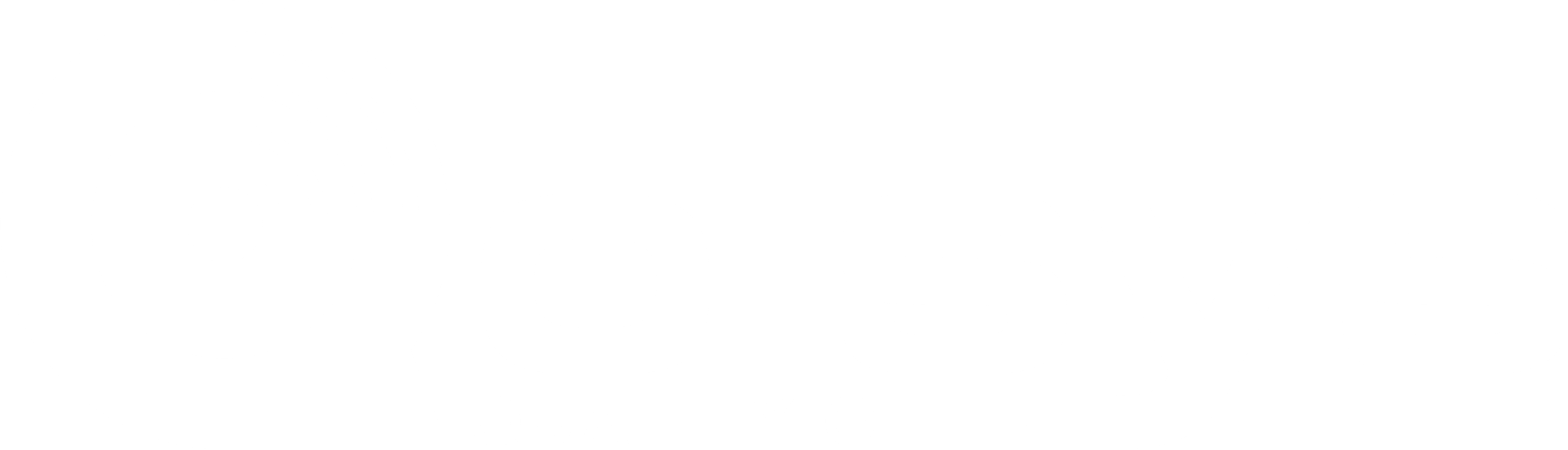 Qolsys-Logo-WHITE-Large